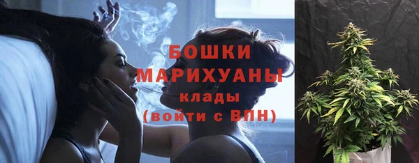 PSILOCYBIN Абаза