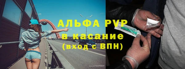 PSILOCYBIN Абаза