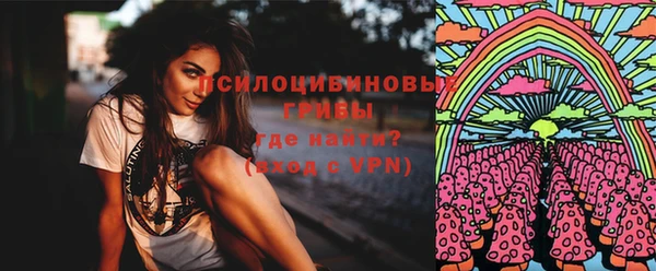 PSILOCYBIN Абаза