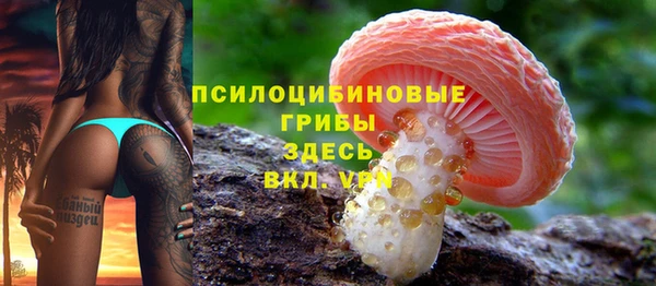 гидра Абдулино
